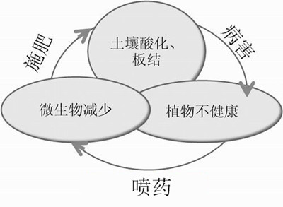 化肥不等于科學(xué)，請客觀評判！